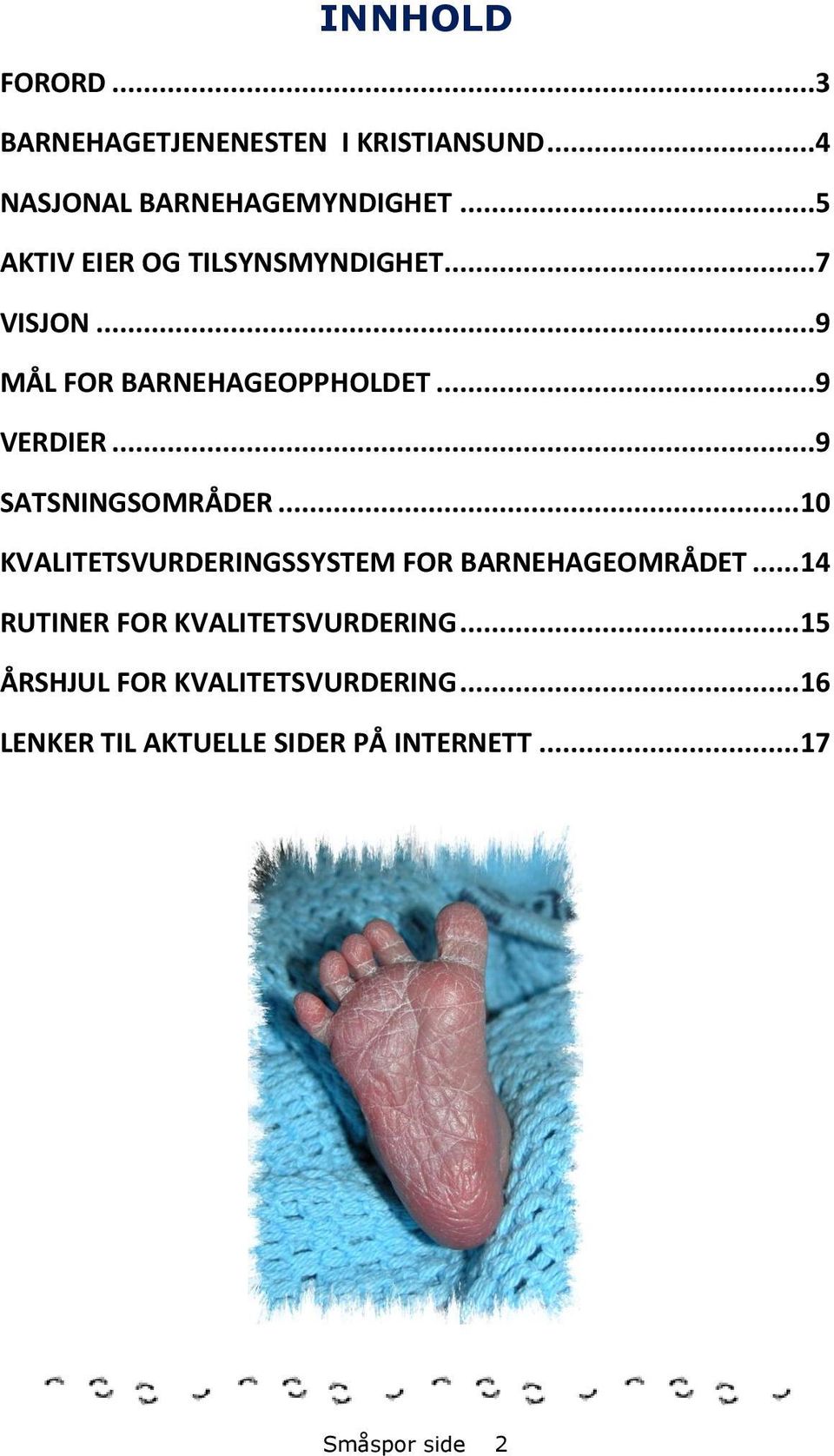 ..9 SATSNINGSOMRÅDER... 10 KVALITETSVURDERINGSSYSTEM FOR BARNEHAGEOMRÅDET.