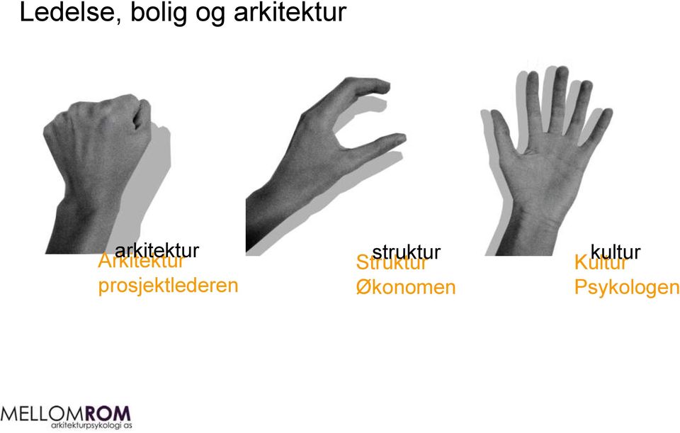 prosjektlederen Struktur