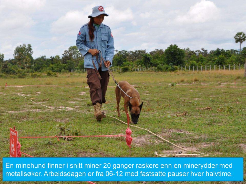 20 ganger raskere enn en minerydder med