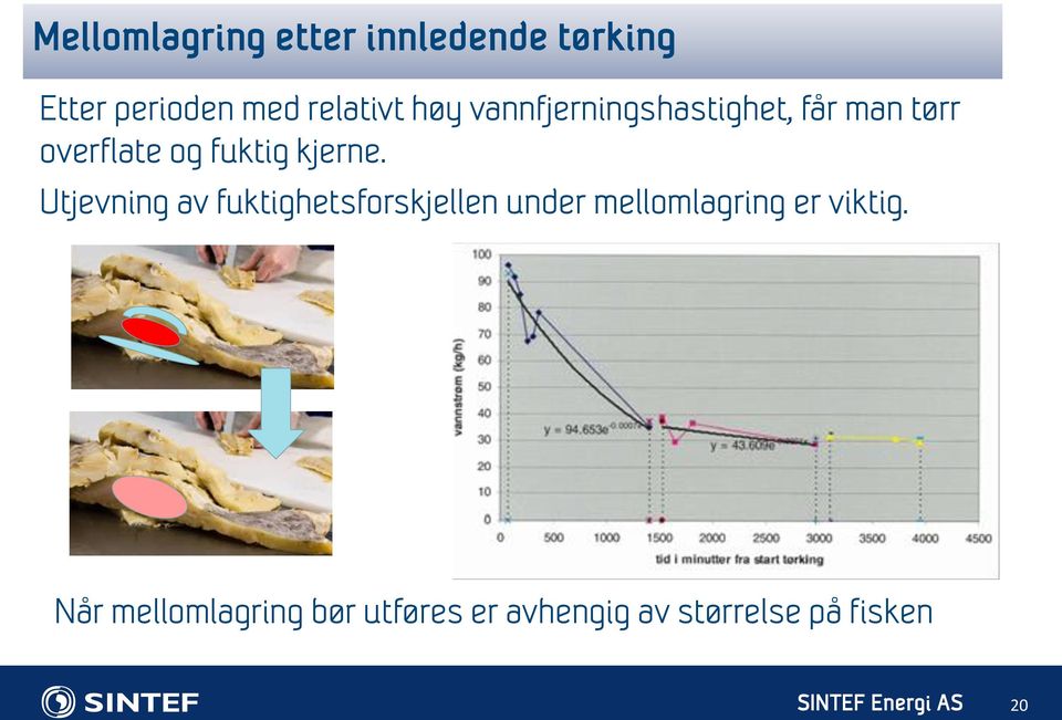 Utjevning av fuktighetsforskjellen under mellomlagring er viktig.