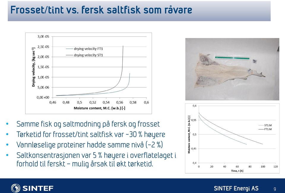 Tørketid for frosset/tint saltfisk var ~30 % høyere Vannløselige proteiner