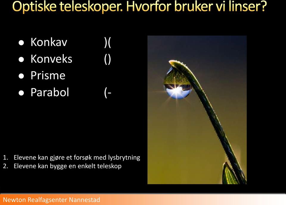 Elevene kan gjøre et forsøk med