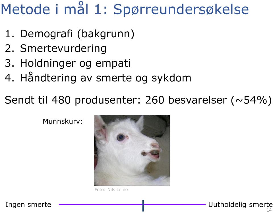 Håndtering av smerte og sykdom Sendt til 480 produsenter: 260