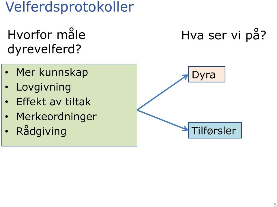 Mer kunnskap Lovgivning Effekt av