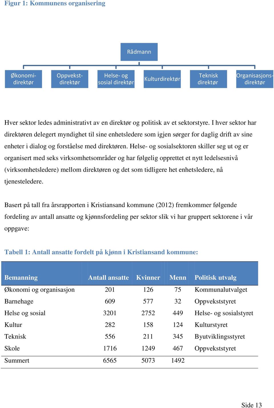 Helse- og sosialsektoren skiller seg ut og er organisert med seks virksomhetsområder og har følgelig opprettet et nytt ledelsesnivå (virksomhetsledere) mellom direktøren og det som tidligere het