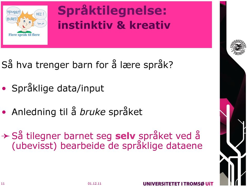 Språklige data/input Anledning til å bruke språket Så