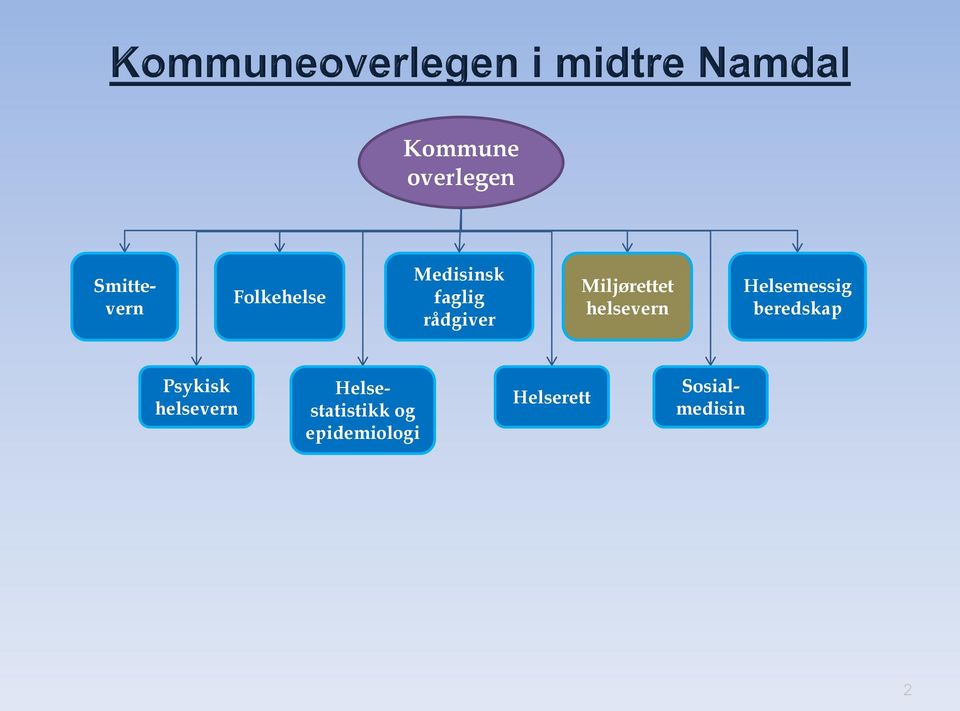 helsevern Helsemessig beredskap Psykisk