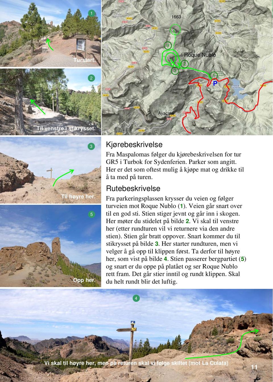 Rutebeskrivelse Fra parkeringsplassen krysser du veien og følger turveien mot Roque Nublo (1). Veien går snart over til en god sti. Stien stiger jevnt og går inn i skogen.