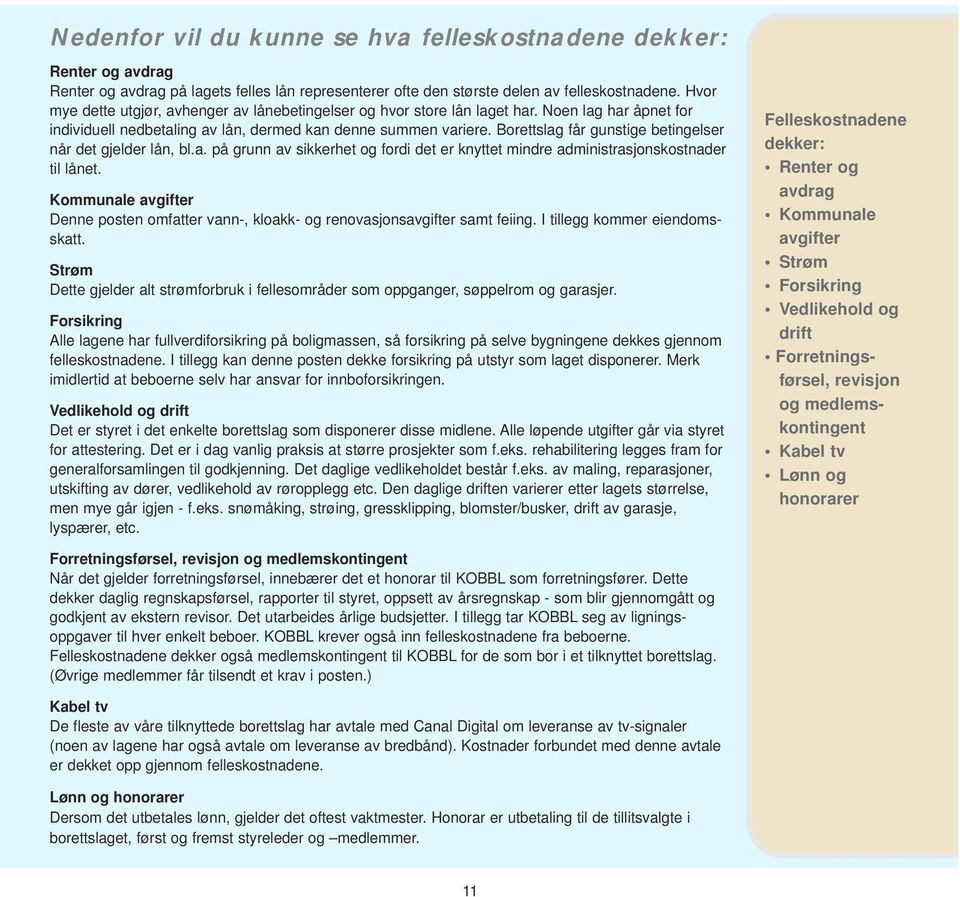 Borettslag får gunstige betingelser når det gjelder lån, bl.a. på grunn av sikkerhet og fordi det er knyttet mindre administrasjonskostnader til lånet.