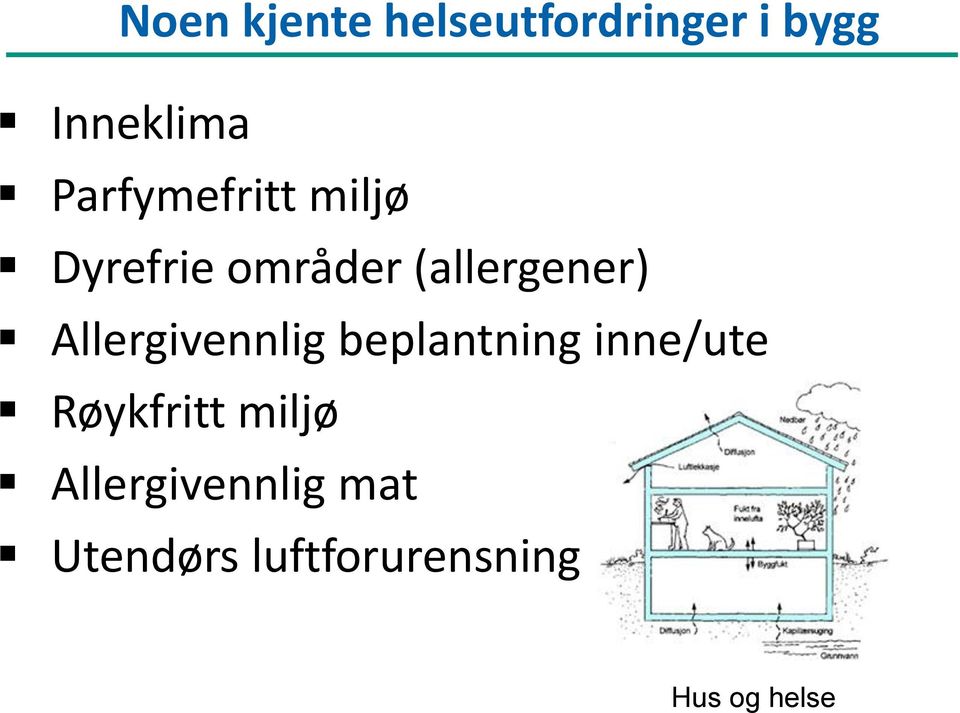 Allergivennlig beplantning inne/ute Røykfritt miljø