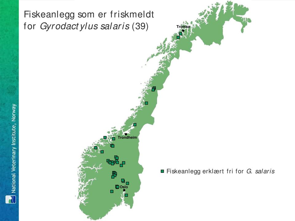 Tromsø Trondheim Fiskeanlegg