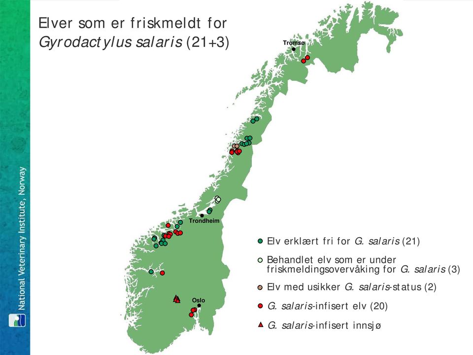 salaris (21) Behandlet elv som er under friskmeldingsovervåking for G.