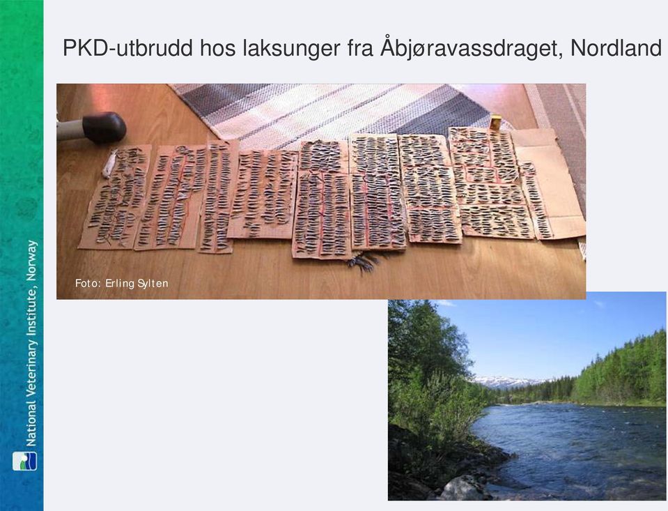 Åbjøravassdraget,