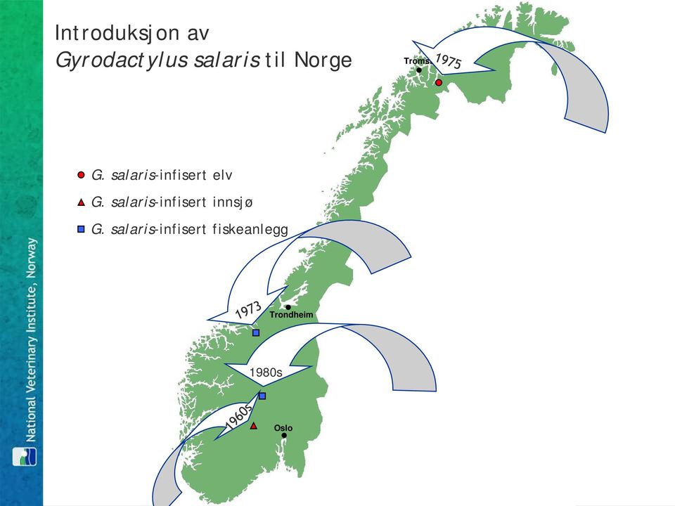 salaris-infisert elv G.