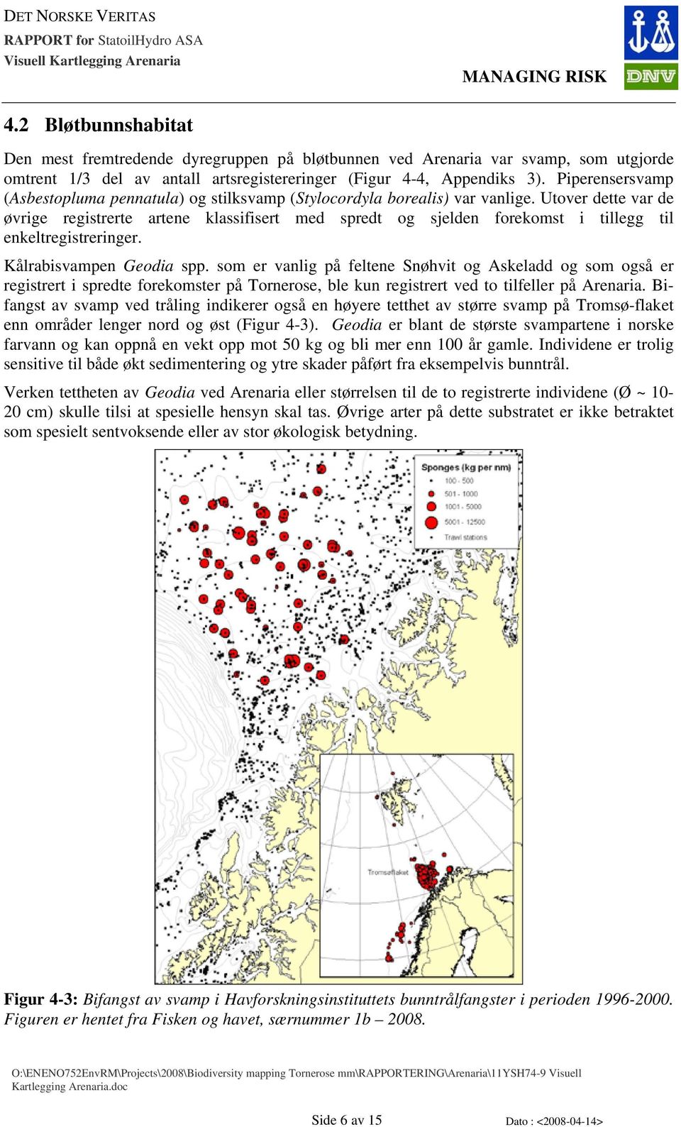 Utover dette var de øvrige registrerte artene klassifisert med spredt og sjelden forekomst i tillegg til enkeltregistreringer. Kålrabisvampen Geodia spp.