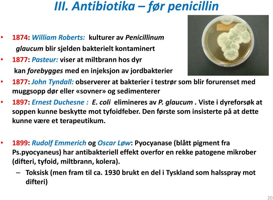 glaucum. Viste i dyreforsøk at soppen kunne beskytte mot tyfoidfeber. Den første som insisterte på at dette kunne være et terapeutikum.