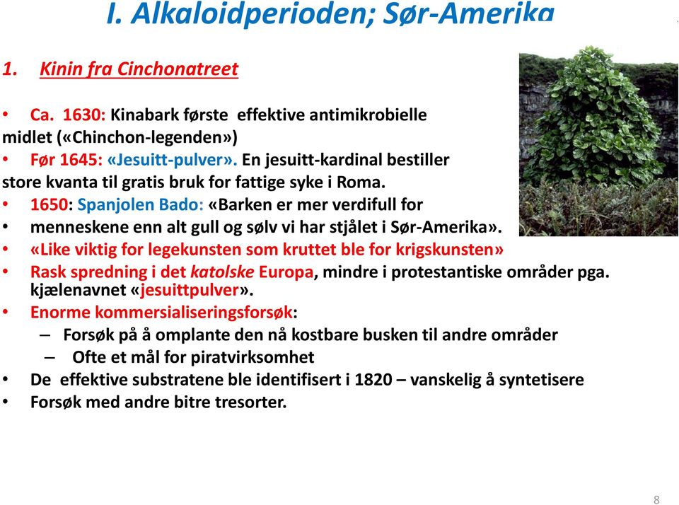 1650: Spanjolen Bado: «Barken er mer verdifull for menneskene enn alt gull og sølv vi har stjålet i Sør-Amerika».