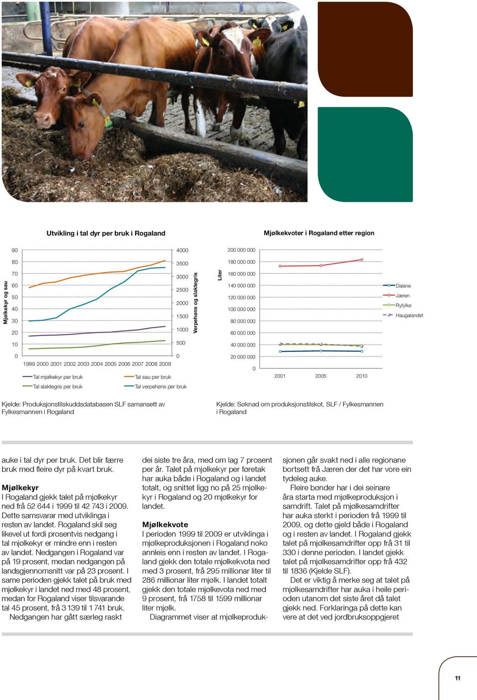 Rogaland skil seg likevel ut fordi prosentvis nedgang i tal mjølkekyr er mindre enn i resten av landet. Nedgangen i Rogaland var på prosent, medan nedgangen på landsgjennomsnitt var på prosent.