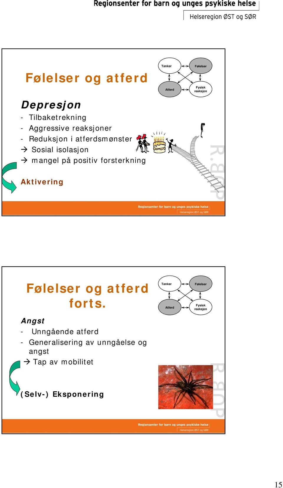 Fysisk reaksjon Aktivering Følelser og atferd forts.