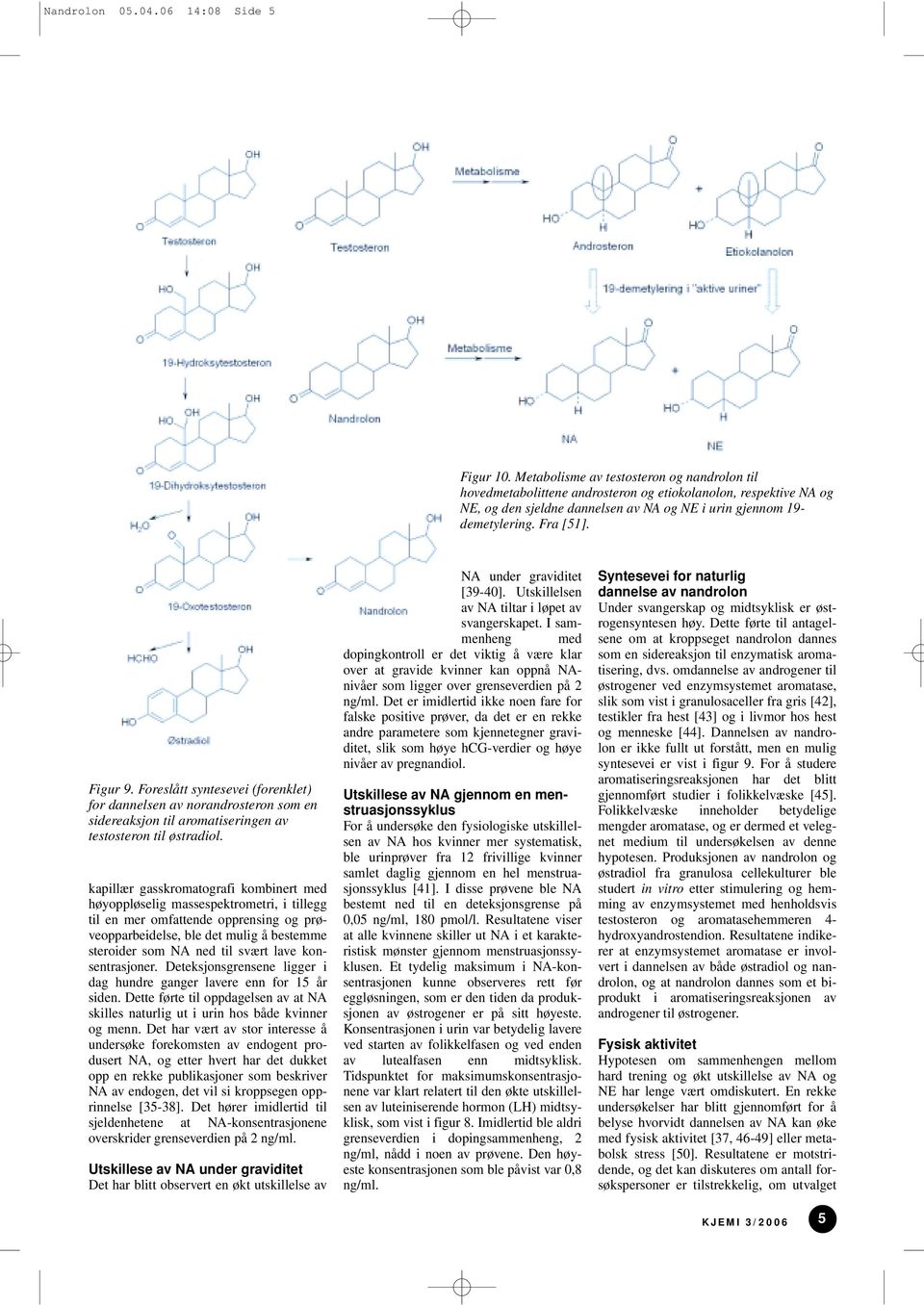 Figur 9. Foreslått syntesevei (forenklet) for dannelsen av norandrosteron som en sidereaksjon til aromatiseringen av testosteron til østradiol.