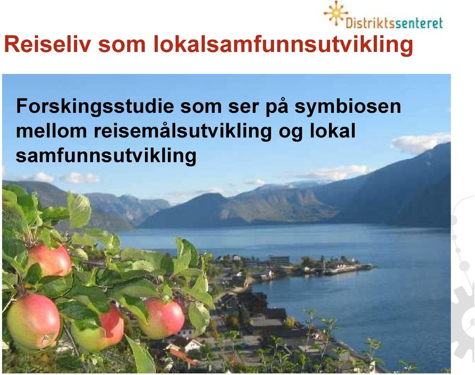 Forskingsstudie som ser på