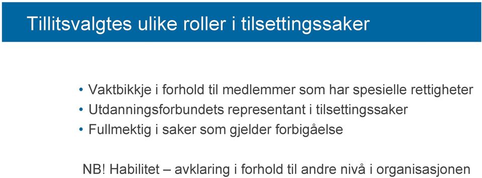 representant i tilsettingssaker Fullmektig i saker som gjelder