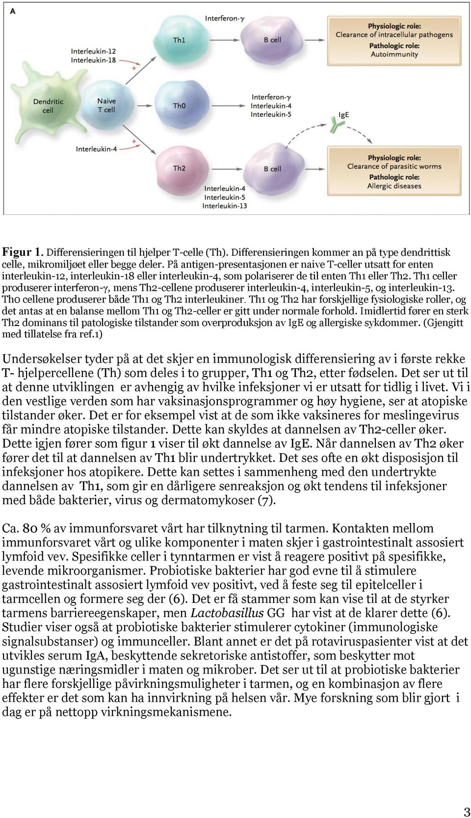 Th1 celler produserer interferon-γ, mens Th2-cellene produserer interleukin-4, interleukin-5, og interleukin-13. Th0 cellene produserer både Th1 og Th2 interleukiner.