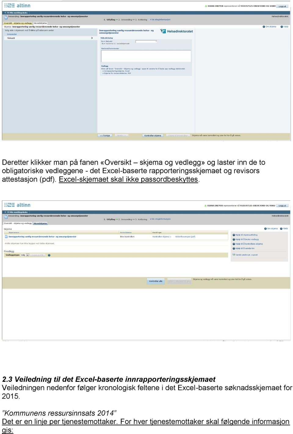 3 Veiledning til det Excel-baserte innrapporteringsskjemaet Veiledningen nedenfor følger kronologisk feltene i det