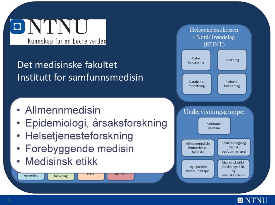 årsaksforskning