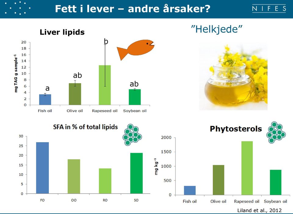 Liver lipids b