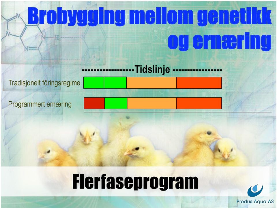 Programmert ernæring