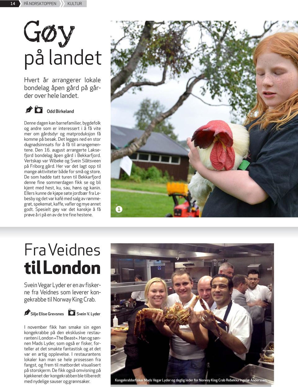 Det legges ned en stor dugnadsinnsats for å få til arrangementene. Den 16. august arrangerte Laksefjord bonde lag åpen gård i Bekkarfjord. Vertskap var Wibeke og Svein Slåtsveen på Friborg gård.