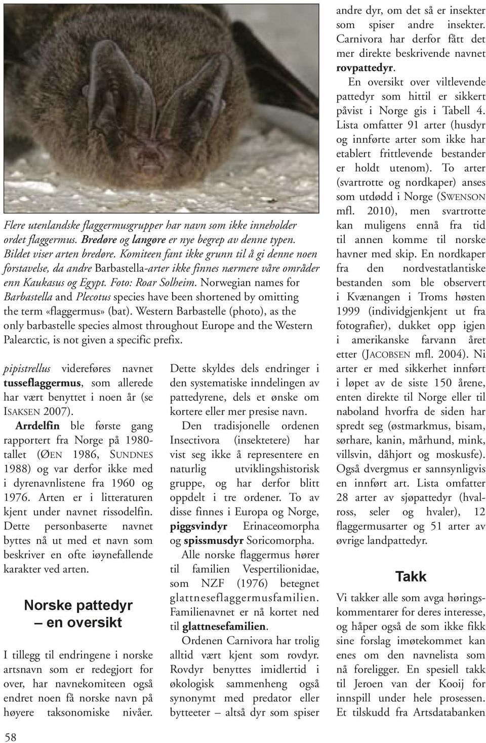 Norwegian names for Barbastella and Plecotus species have been shortened by omitting the term «flaggermus» (bat).