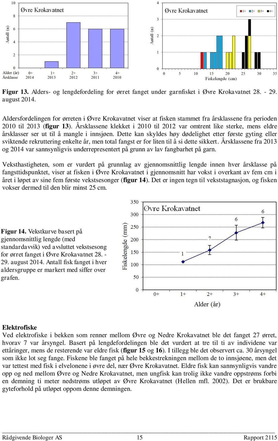 Årsklassene klekket i 2010 til 2012 var omtrent like sterke, mens eldre årsklasser ser ut til å mangle i innsjøen.