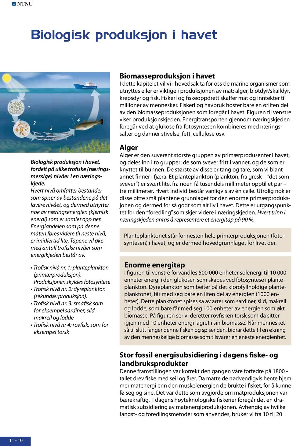 Fiskeri og havbruk høster bare en ørliten del av den biomasseproduksjonen som foregår i havet. Figuren til venstre viser produksjonskjeden.