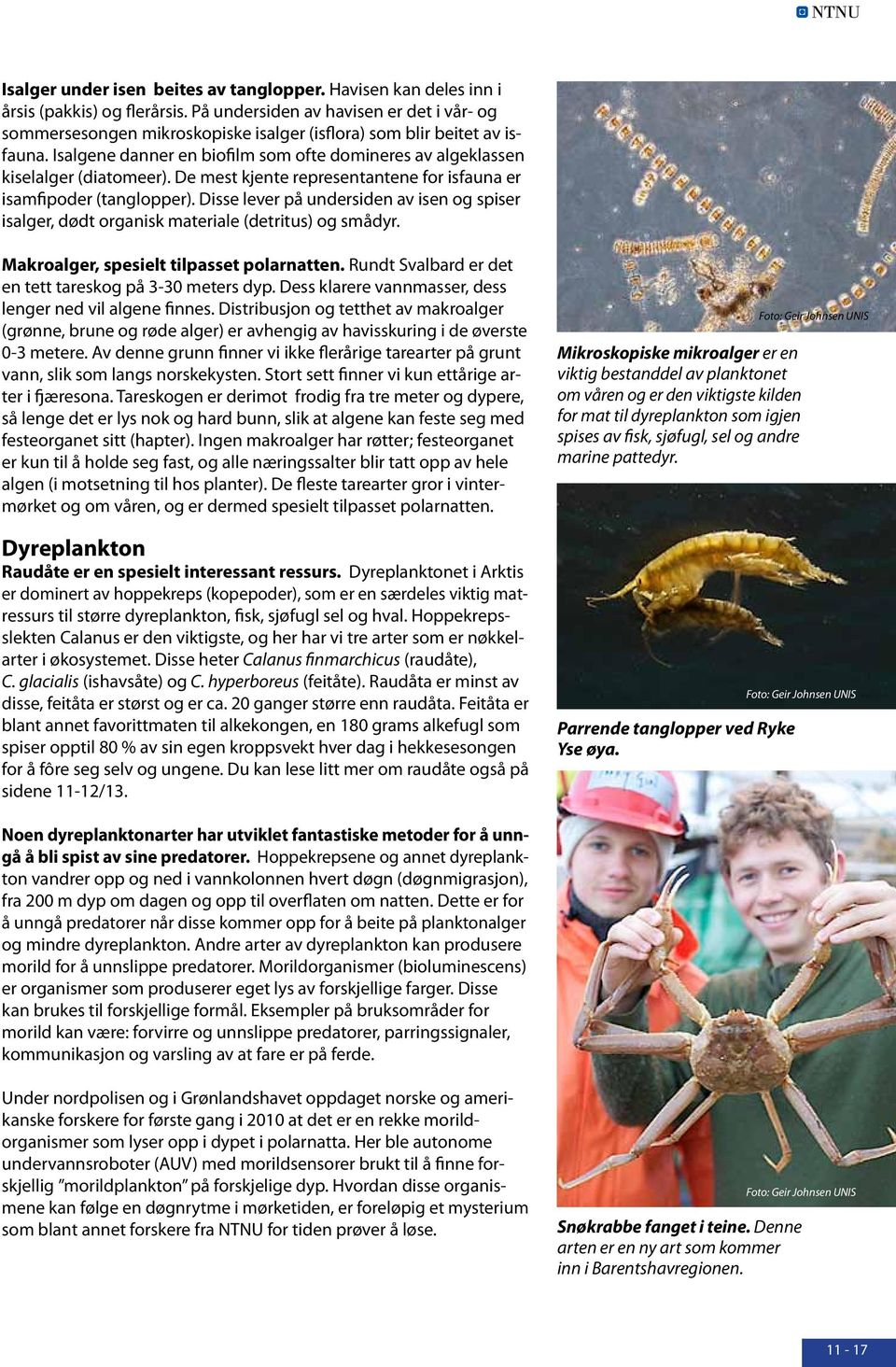 Isalgene danner en biofilm som ofte domineres av algeklassen kiselalger (diatomeer). De mest kjente representantene for isfauna er isamfipoder (tanglopper).