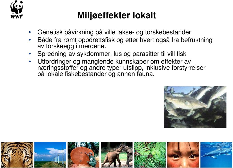 Spredning av sykdommer, lus og parasitter til vill fisk Utfordringer og manglende kunnskaper k