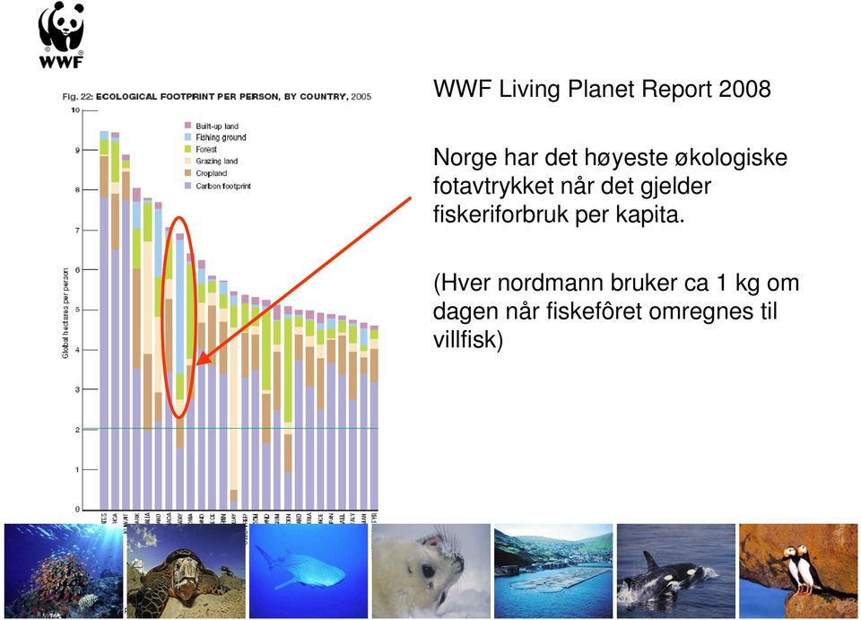 fiskeriforbruk per kapita.