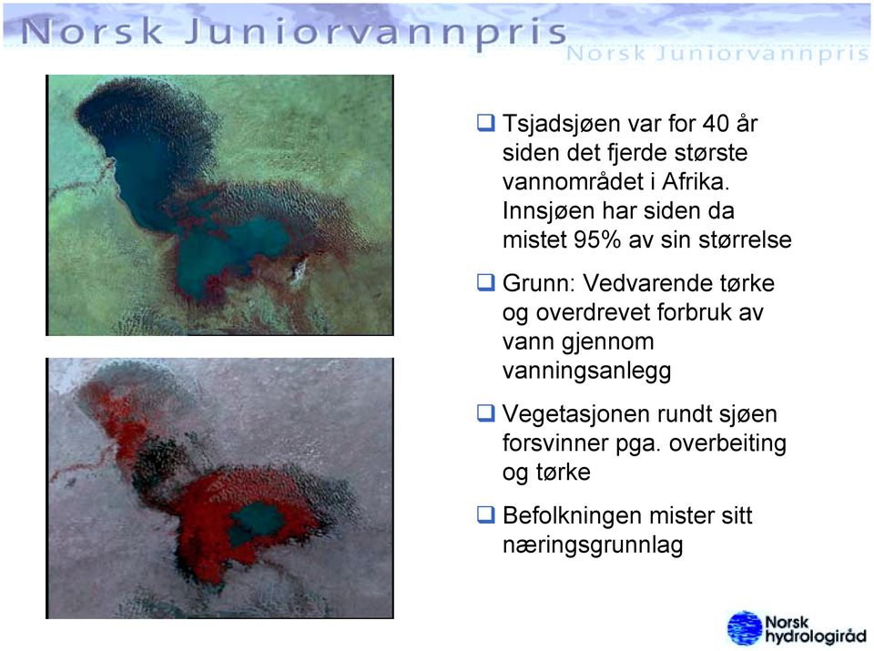 Grunn: Vedvarende tørke og overdrevet forbruk av vann gjennom vanningsanlegg!