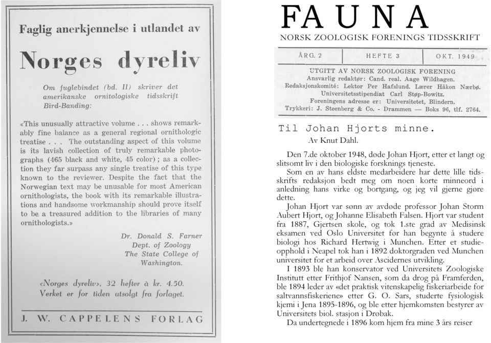 Johan Hjort var sønn av avdøde professor Johan Storm Aubert Hjort, og Johanne Elisabeth Falsen. Hjort var student fra 1887, Gjertsen skole, og tok 1.