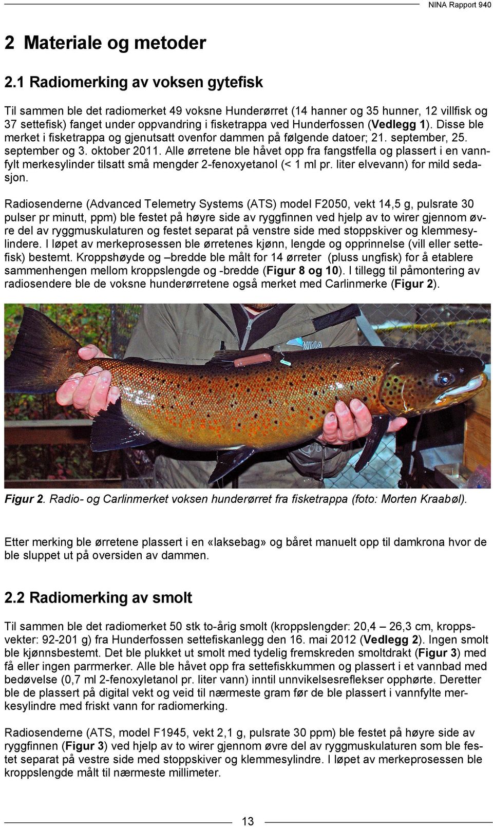 (Vedlegg 1). Disse ble merket i fisketrappa og gjenutsatt ovenfor dammen på følgende datoer; 21. september, 25. september og 3. oktober 2011.