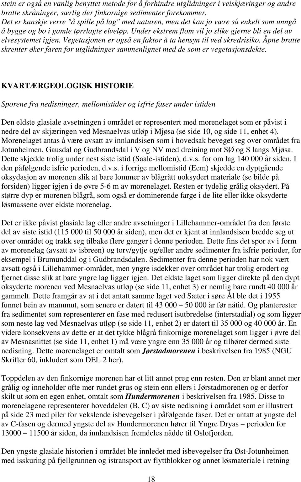 Under ekstrem flom vil jo slike gjerne bli en del av elvesystemet igjen. Vegetasjonen er også en faktor å ta hensyn til ved skredrisiko.