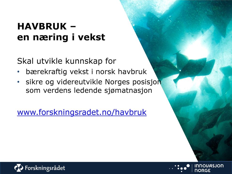 sikre og videreutvikle Norges posisjon som