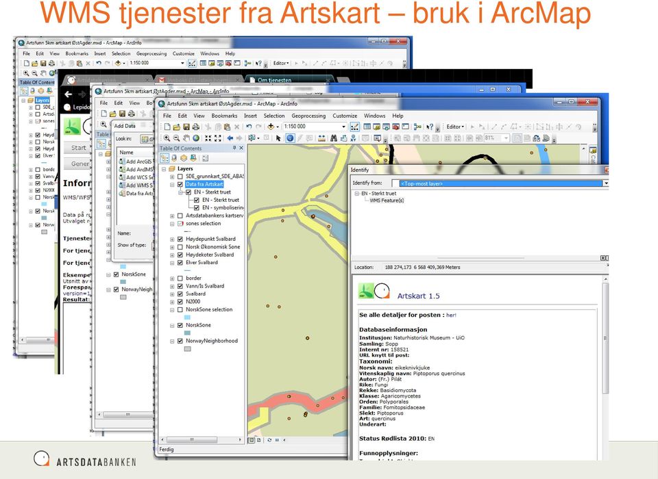 bruk i ArcMap