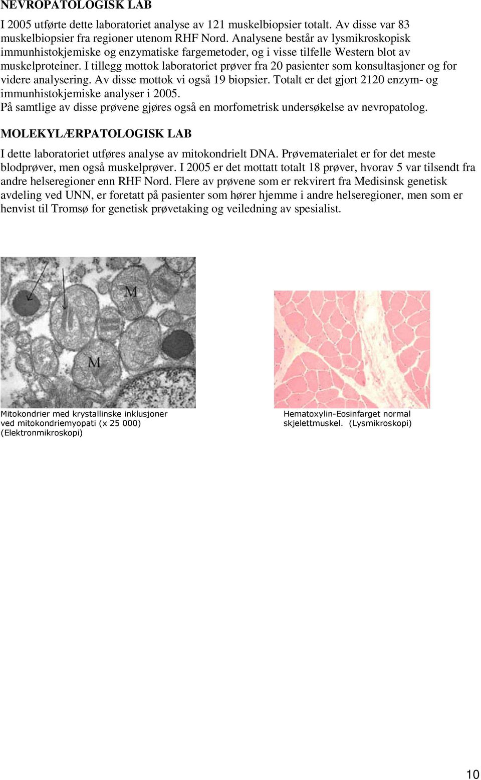 I tillegg mottok laboratoriet prøver fra 20 pasienter som konsultasjoner og for videre analysering. Av disse mottok vi også 19 biopsier.