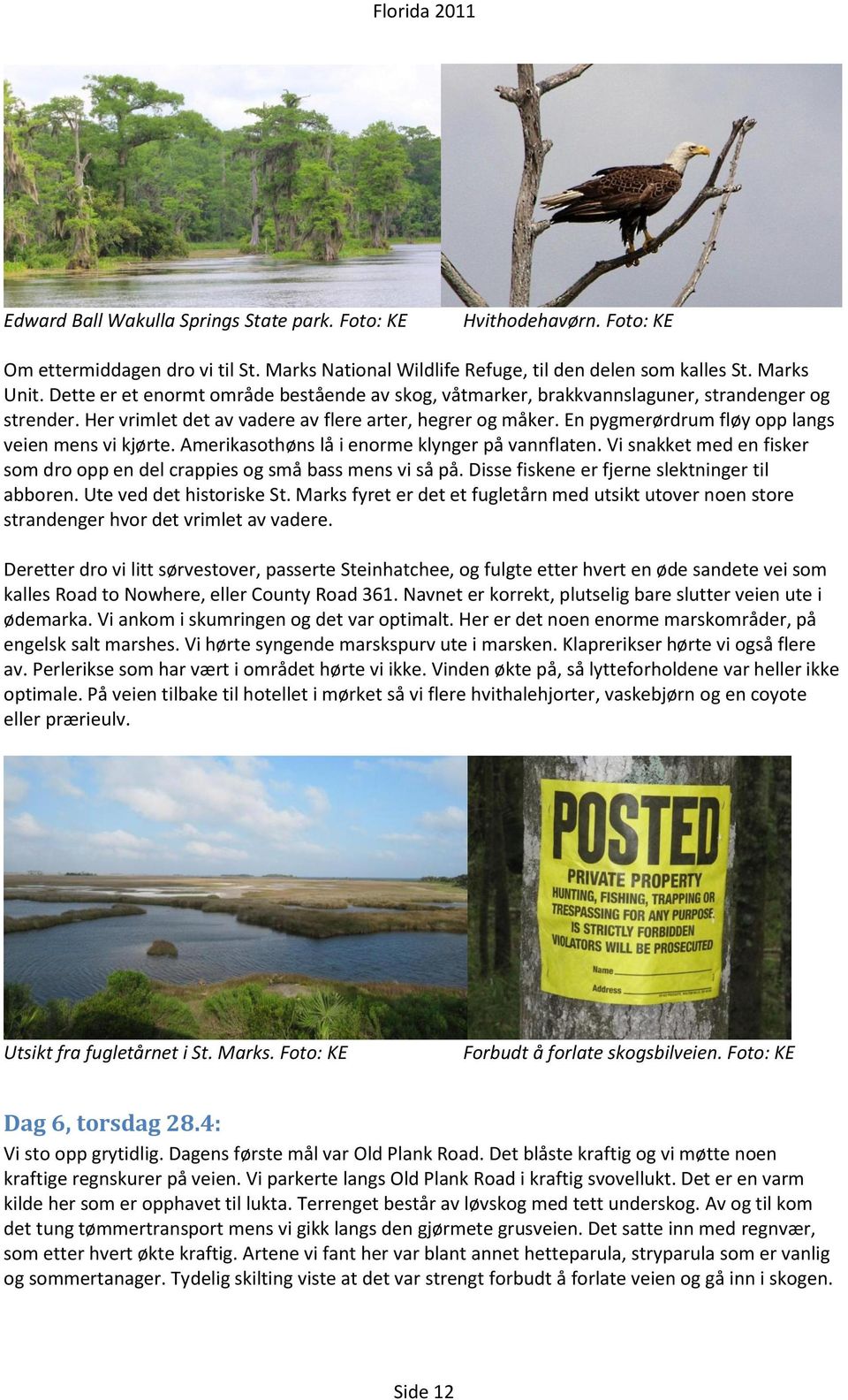 En pygmerørdrum fløy opp langs veien mens vi kjørte. Amerikasothøns lå i enorme klynger på vannflaten. Vi snakket med en fisker som dro opp en del crappies og små bass mens vi så på.