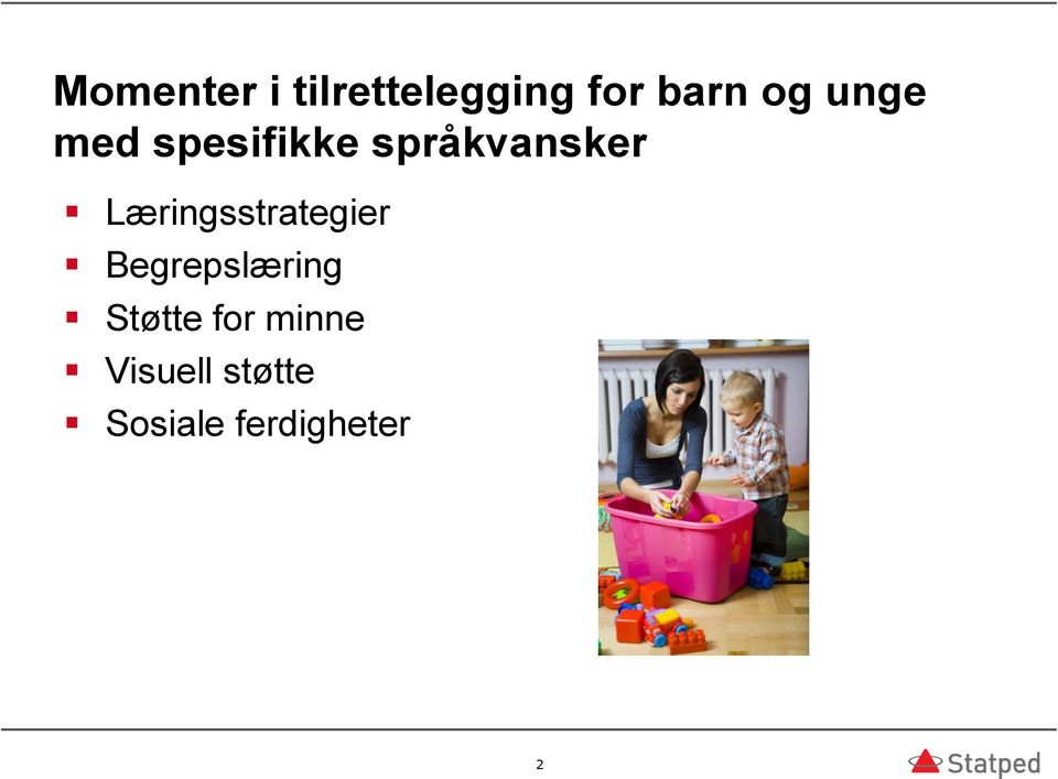 Læringsstrategier Begrepslæring Støtte