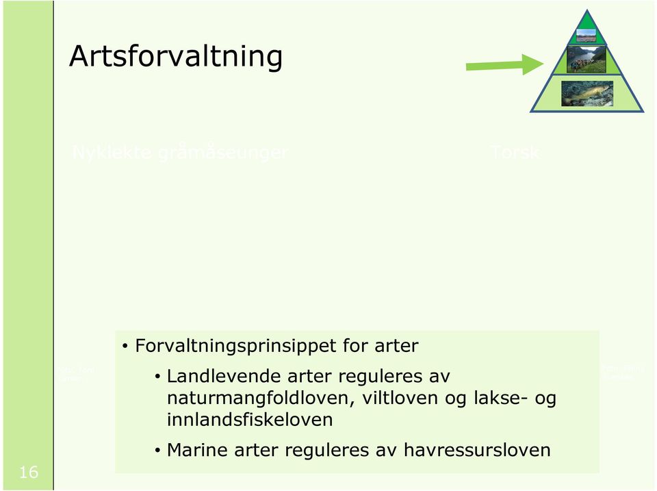 reguleres av naturmangfoldloven, viltloven og lakse- og