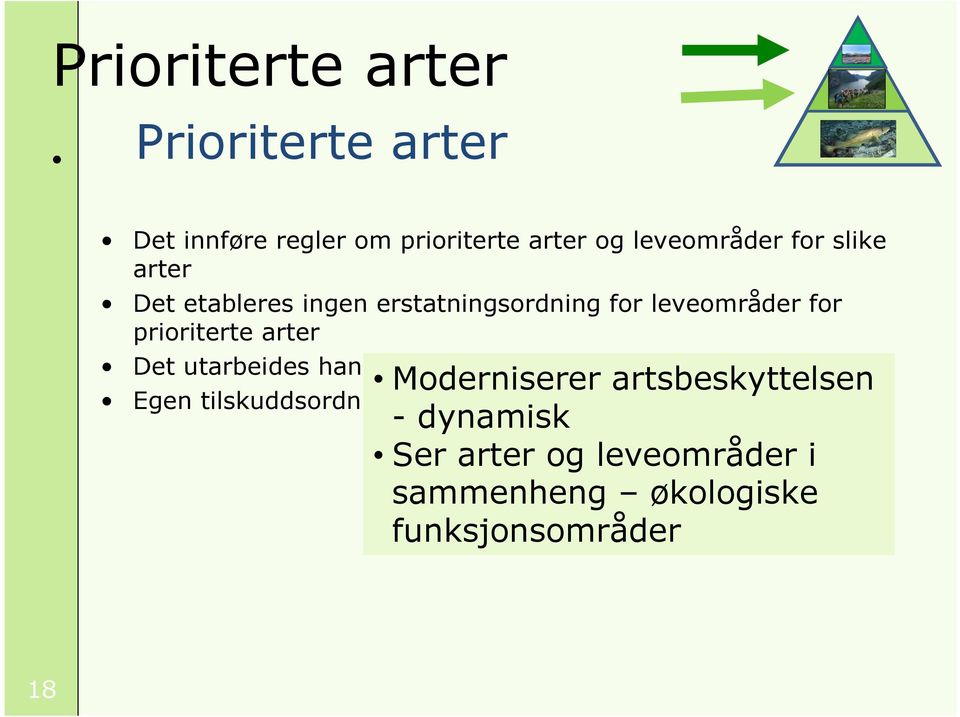 arter Det utarbeides handlingsplaner Moderniserer artsbeskyttelsen - dynamisk Ser arter og