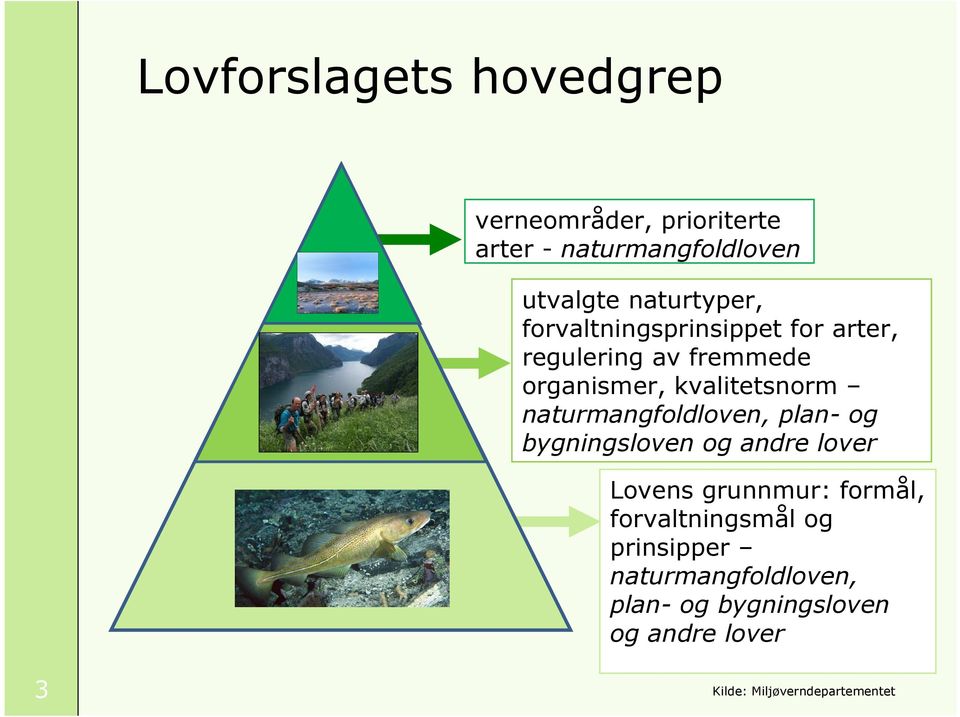 naturmangfoldloven, plan- og bygningsloven og andre lover Lovens grunnmur: formål,